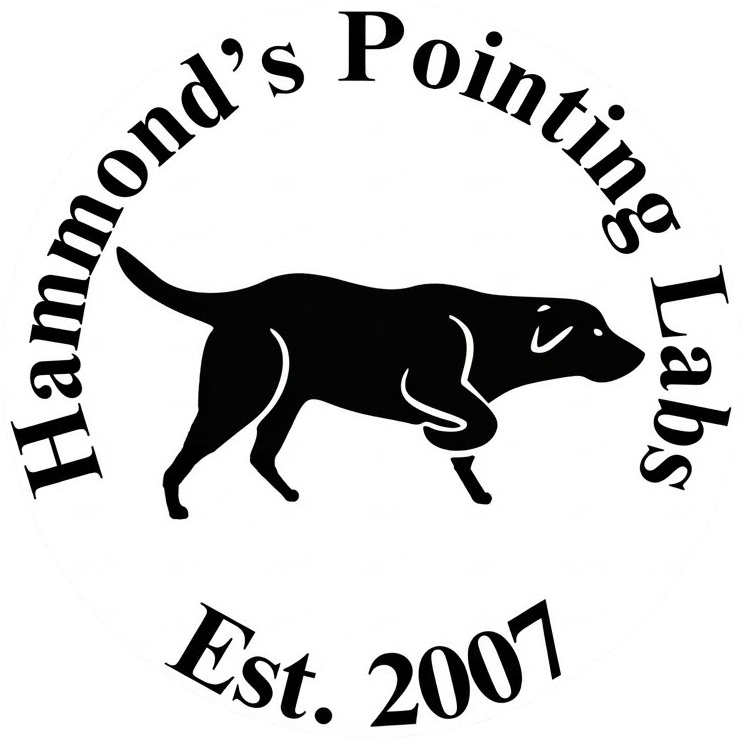Hammond's Pointing Labs Logo